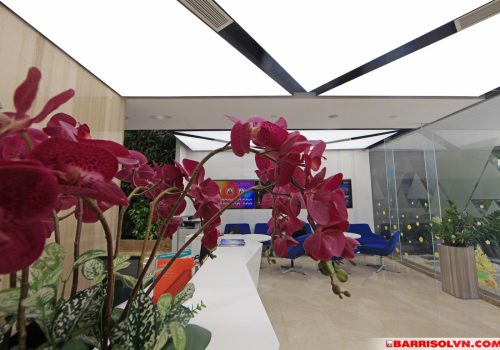 báo giá trần xuyên sáng