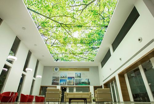 trần xuyên sáng barrisol