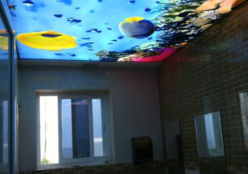 trần nhà 3d barrisol việt nam