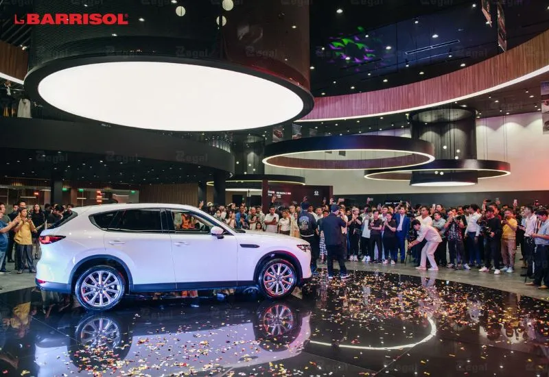 Hộp đèn xuyên sáng phù hợp với những không gian cần điểm nhấn rõ ràng