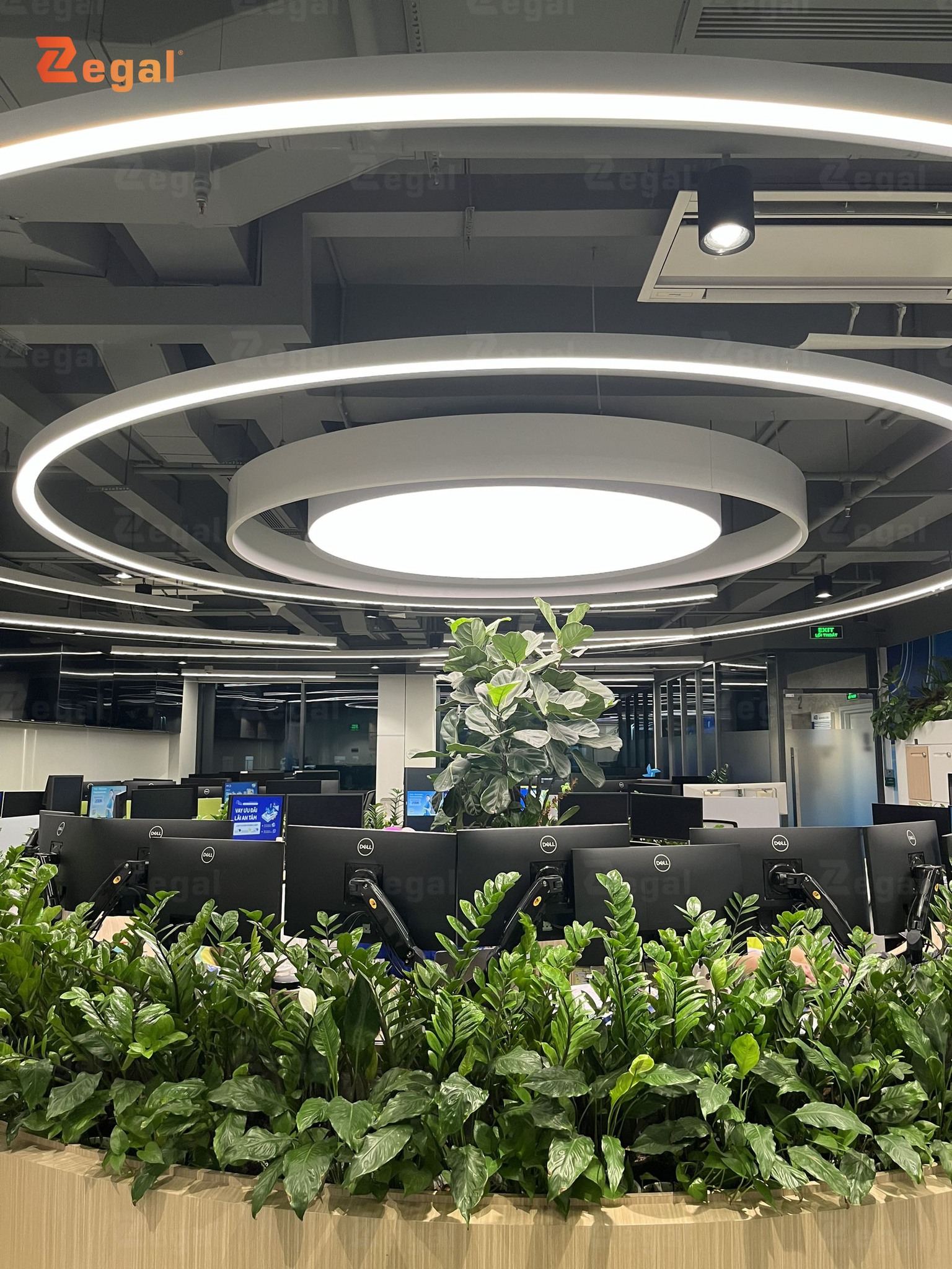 Ánh sáng dịu nhẹ từ trần xuyên sáng góp phần tăng năng suất làm việc.