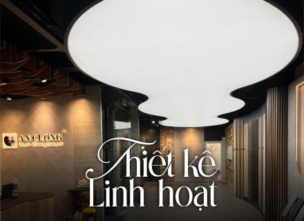 Barrisol mang đến giải pháp thiết kế linh hoạt với nhiều kiểu dáng và hiệu ứng ánh sáng.