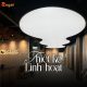 Barrisol mang đến giải pháp thiết kế linh hoạt với nhiều kiểu dáng và hiệu ứng ánh sáng.