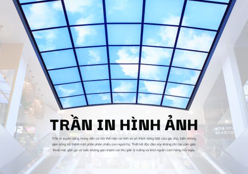 Khám phá trần in với khả năng biến mọi không gian thành tác phẩm nghệ thuật. Giải pháp thẩm mỹ, sáng tạo, bền đẹp cho nhà ở và công trình thương mại.