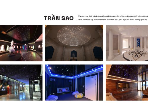Một vài dự án trần sao TP.HCM Zegal đã thực hiện